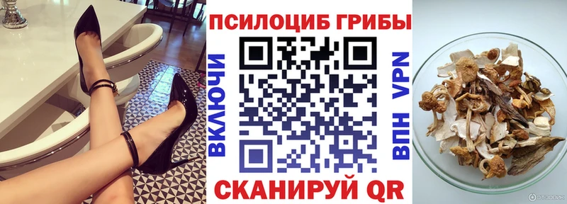 Псилоцибиновые грибы Magic Shrooms  купить  цена  блэк спрут ссылки  Тетюши 